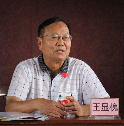 王教授发言_副本.jpg